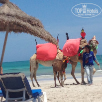 фото из отзыва ID 1949415