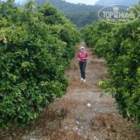 фото из отзыва ID 1948624