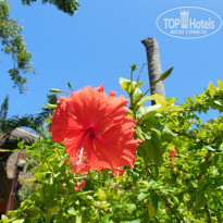 фото из отзыва ID 1949616