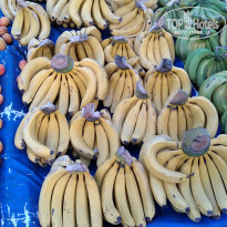 фото из отзыва ID 1949697