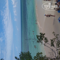 фото из отзыва ID 1949766