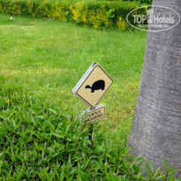 фото из отзыва ID 1949119