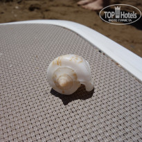 фото из отзыва ID 1949973