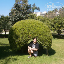 фото из отзыва ID 1949973