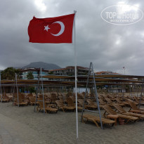 фото из отзыва ID 1949967