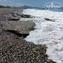 фото из отзыва ID 1949967