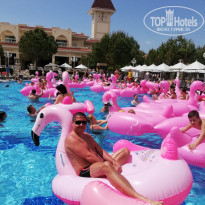 фото из отзыва ID 1949994