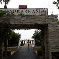 фото из отзыва ID 1947131