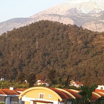 фото из отзыва ID 1949463