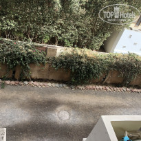 фото из отзыва ID 1947985