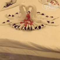 фото из отзыва ID 1940488