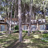 фото из отзыва ID 1943070