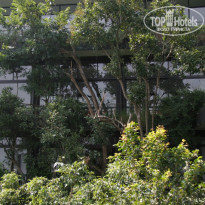 фото из отзыва ID 195306