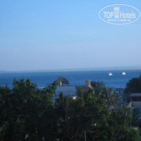 фото из отзыва ID 195466