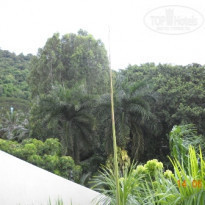 фото из отзыва ID 195708