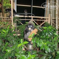 фото из отзыва ID 195953