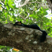 фото из отзыва ID 195953