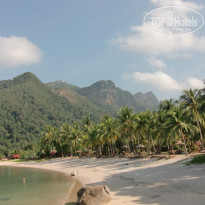 фото из отзыва ID 195953