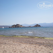 фото из отзыва ID 195975