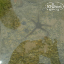 фото из отзыва ID 195975