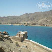 фото из отзыва ID 195975