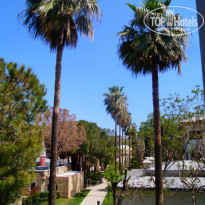 фото из отзыва ID 1950020