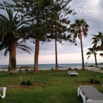 фото из отзыва ID 1950101