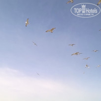 фото из отзыва ID 1950294