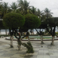 фото из отзыва ID 1950314