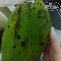 фото из отзыва ID 1950314