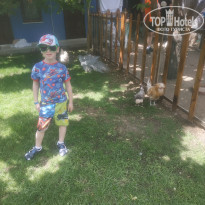 фото из отзыва ID 1950393