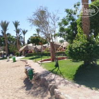 фото из отзыва ID 1950676