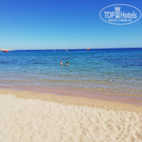 фото из отзыва ID 1950676