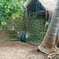 фото из отзыва ID 1950917