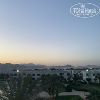 фото из отзыва ID 1950962