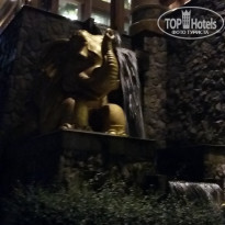 фото из отзыва ID 1951025