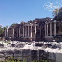 фото из отзыва ID 1951046