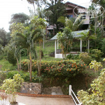 фото из отзыва ID 1951034