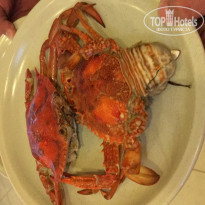 фото из отзыва ID 1951071