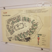 фото из отзыва ID 1950993