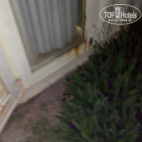 фото из отзыва ID 1951086