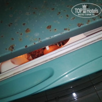 фото из отзыва ID 1951086