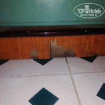 фото из отзыва ID 1951086