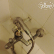 фото из отзыва ID 1951086