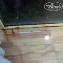 фото из отзыва ID 1951086