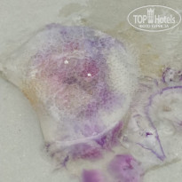 фото из отзыва ID 1951086