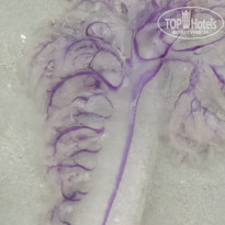 фото из отзыва ID 1951086