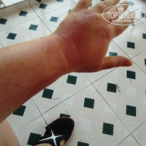 фото из отзыва ID 1951086