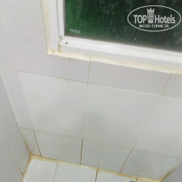 фото из отзыва ID 1951086