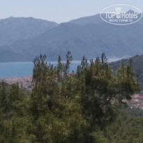 фото из отзыва ID 1951171